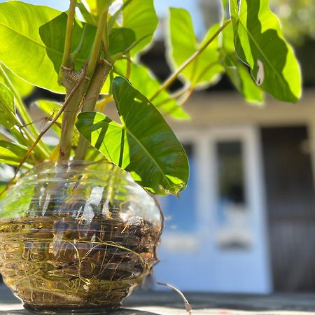 Ti'Laos Villa Cilaos Ngoại thất bức ảnh